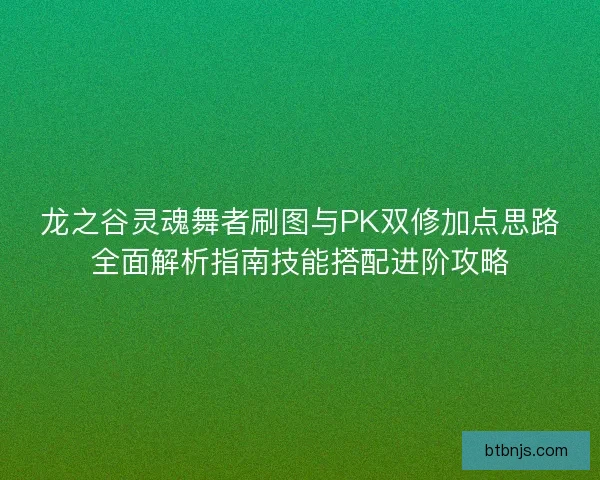 龙之谷灵魂舞者刷图与PK双修加点思路全面解析指南技能搭配进阶攻略