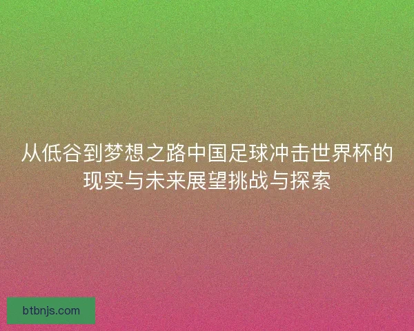 从低谷到梦想之路中国足球冲击世界杯的现实与未来展望挑战与探索